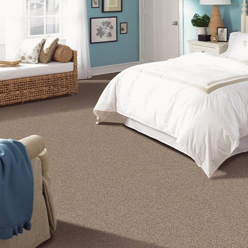Warminster, PA home with new pet friendly carpet flooring