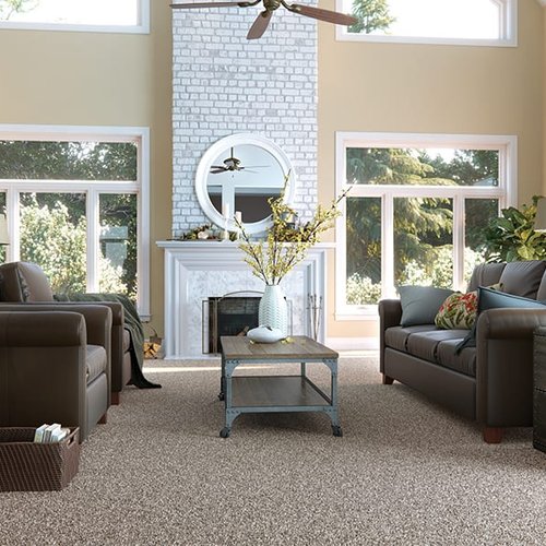 Carpet Flooring in a Bellmawr NJ home