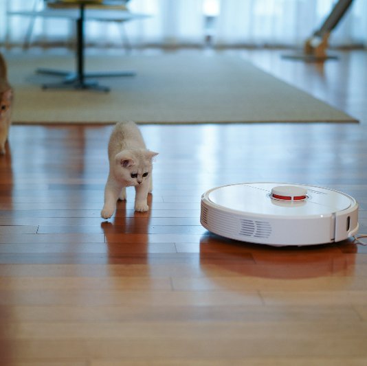 Cleaning pet friendly laminate floor with a robot vacuum